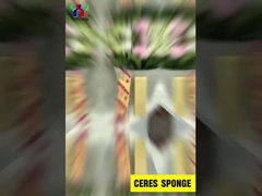 セレス・ヴィスコビタ・スポンジ